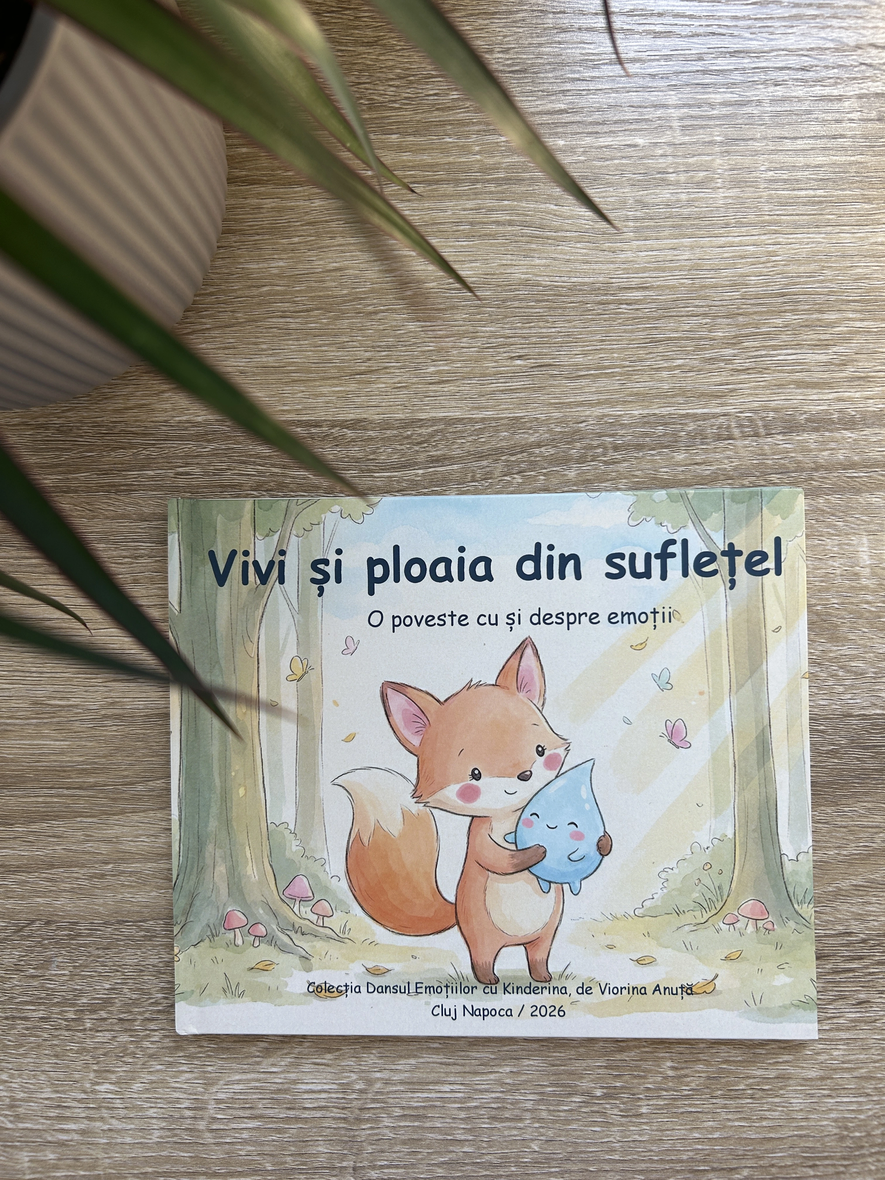 Vivi și ploaia din suflețel